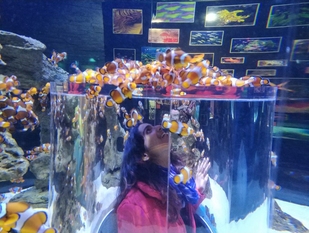 V&A Aquarium, Cape Town V&A Aquarium, Cape Town