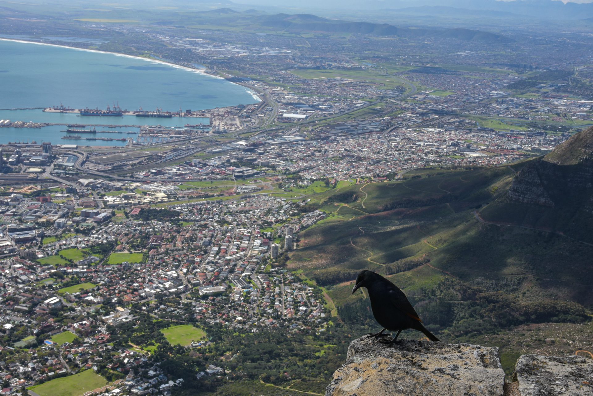 Cape Town View from Table Mountain , Cape Town View from Table Mountain ,